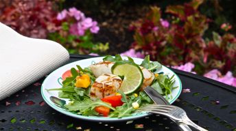 Scallop & Grilled Corn Salad